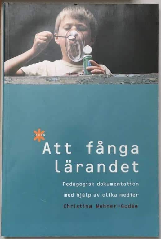 Christina Wehner-Godée : Att fånga lärandet