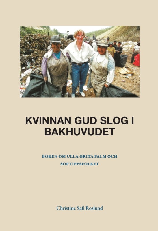 Christine Safi Roslund : Kvinnan Gud slog i bakhuvudet