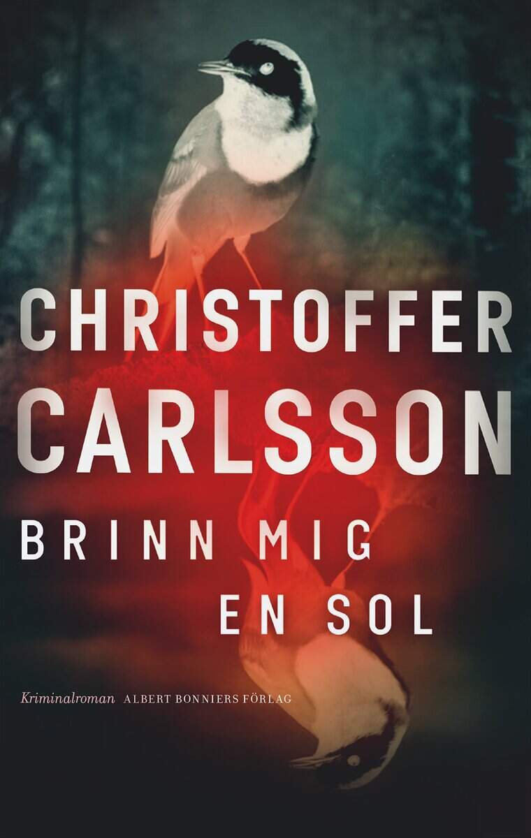 Christoffer Carlsson : Brinn mig en sol