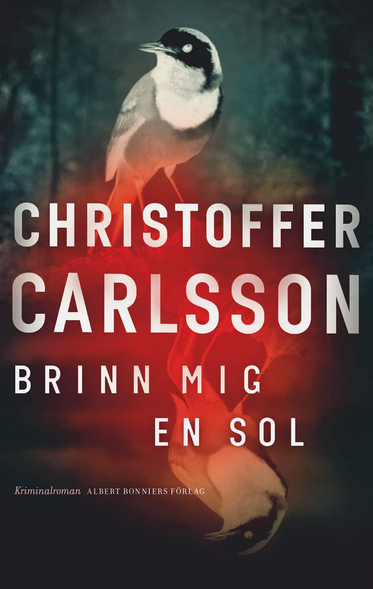 Christoffer Carlsson : Brinn mig en sol