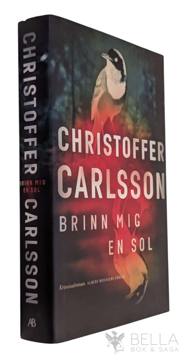 Christoffer Carlsson : Brinn mig en sol