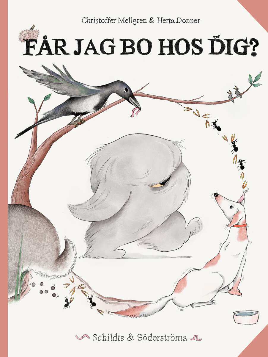 Christoffer Mellgren : Får jag bo hos dig?