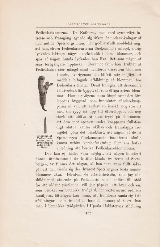 Christopher Aurivillius : Insektlifvet i arktiska länder