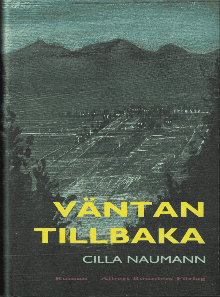 Cilla Naumann : Väntan tillbaka