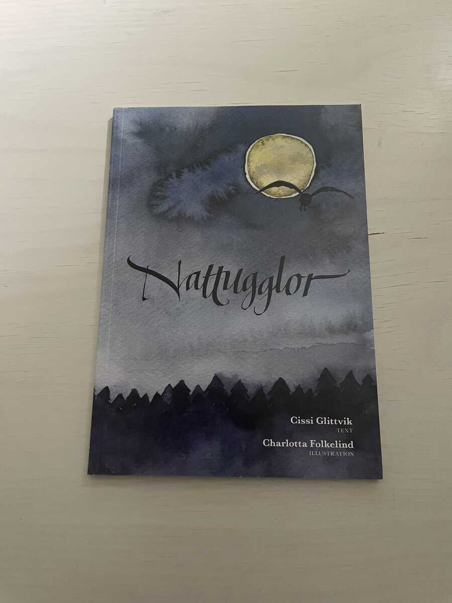 Cissi Glittvik : Nattugglor