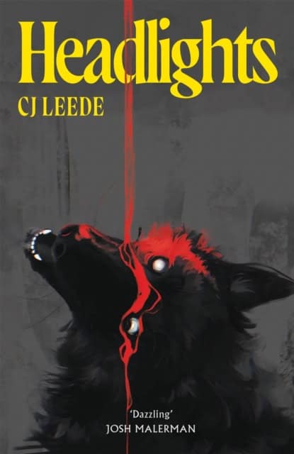 CJ Leede : Headlights