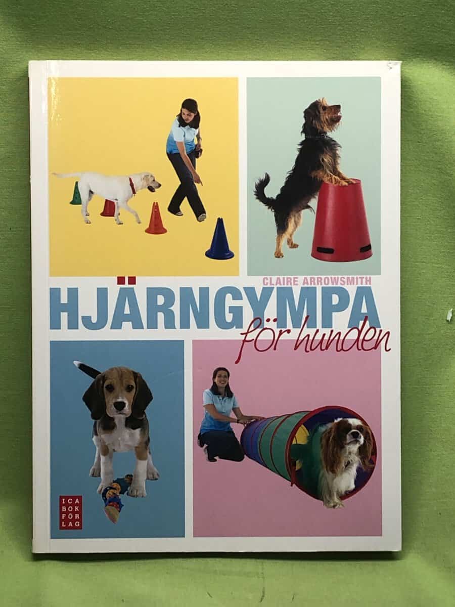 Claire Arrowsmith : Hjärngympa för hunden