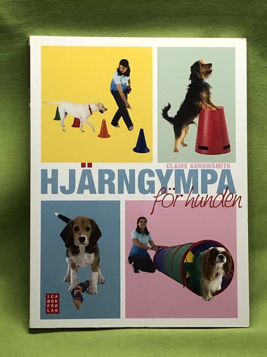 Claire Arrowsmith : Hjärngympa för hunden