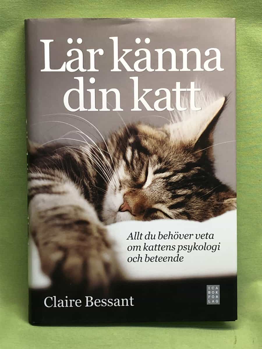 Claire Bessant : Lär känna din katt