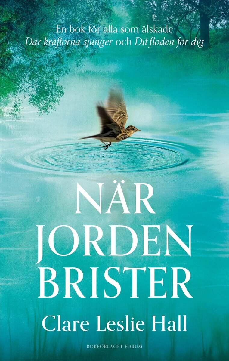 Clare Leslie Hall : När jorden brister