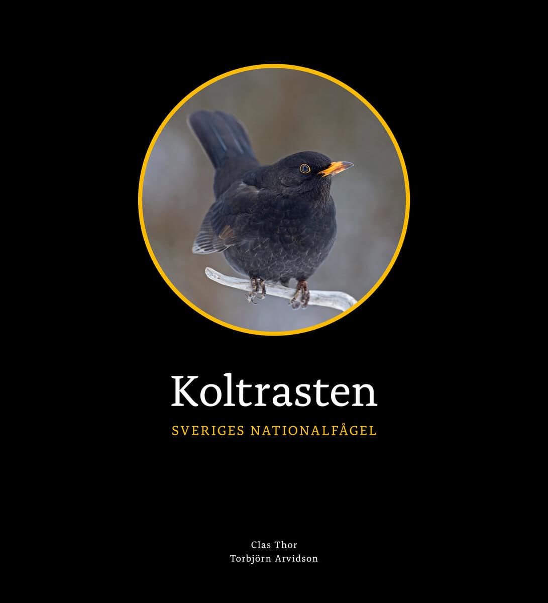 Clas Thor : Koltrasten : Sveriges Nationalfågel