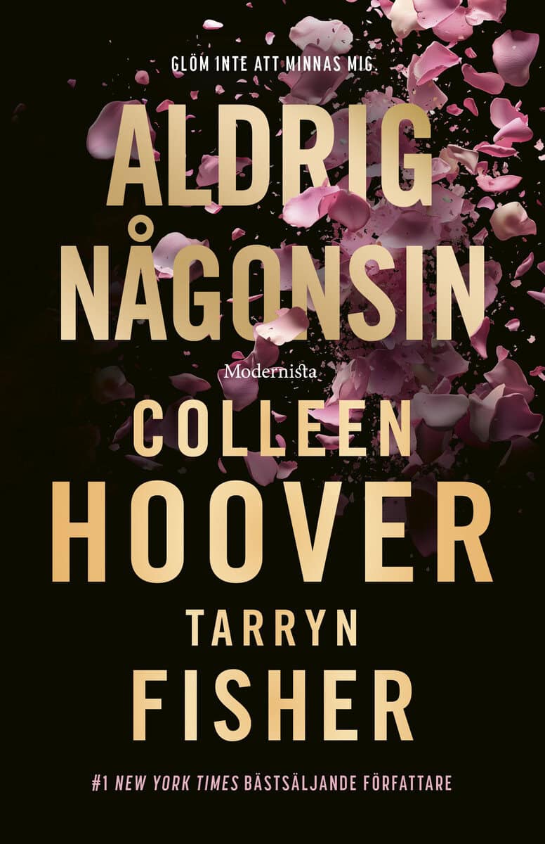 Hoover, Colleen; Fisher, Tarryn : Aldrig någonsin
