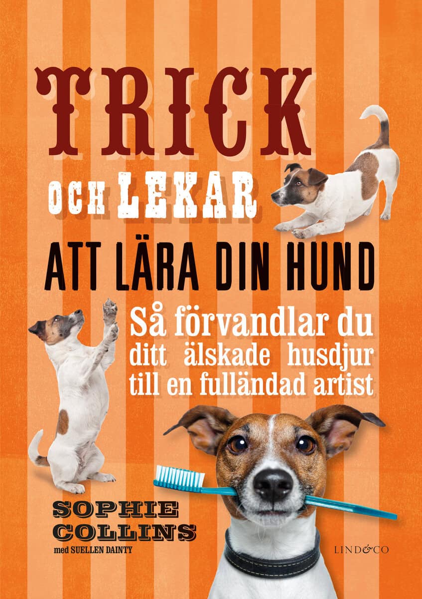 Collins, Sophie ; Dainty, Suellen : Trick och lekar att lära din hund