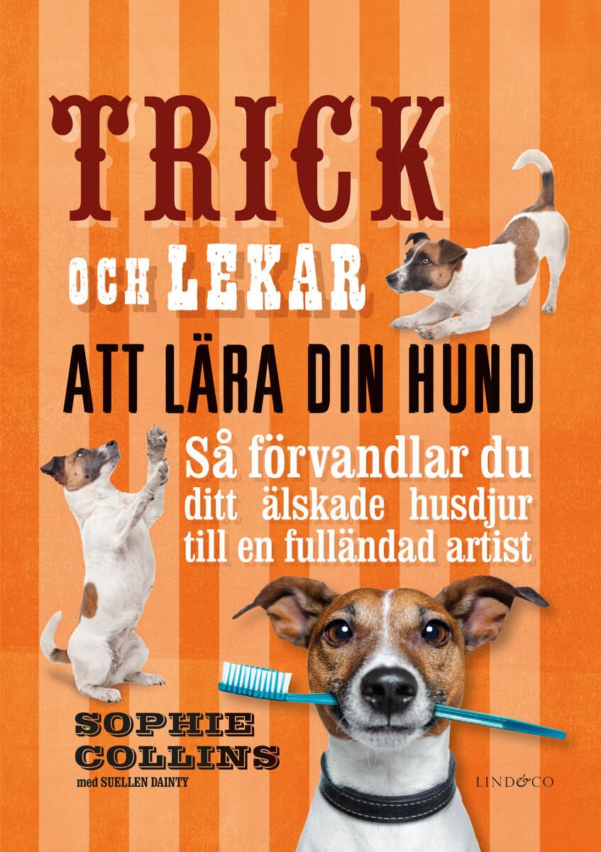 Collins, Sophie ; Dainty, Suellen : Trick och lekar att lära din hund : så förvandlar du ditt älskade husdjur..