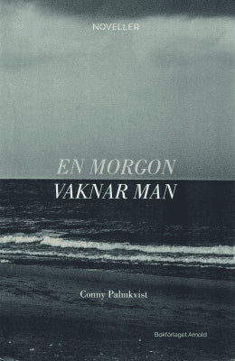 Conny Palmkvist : En morgon vaknar man
