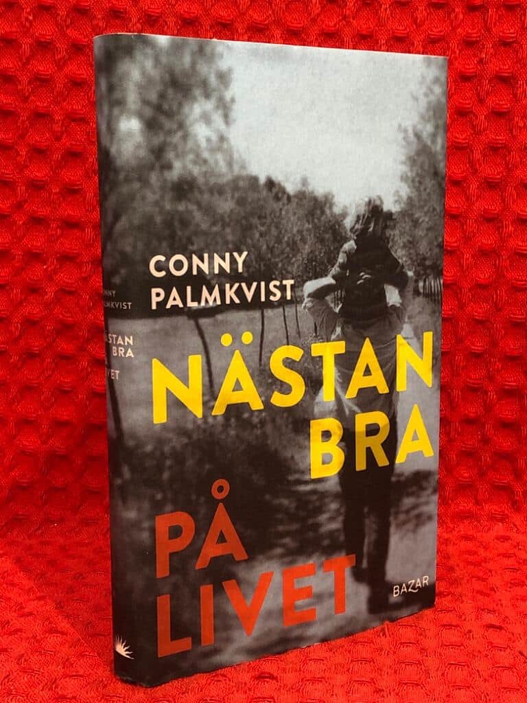 Conny Palmkvist : Nästan bra på livet