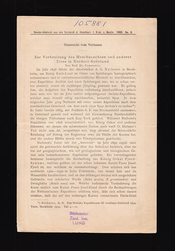 Conwentz : Zur Verbreitung des Moschusochsen und anderer. Tiere in Nordost-Grönland