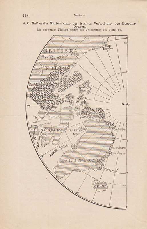 Conwentz : Zur Verbreitung des Moschusochsen und anderer. Tiere in Nordost-Grönland