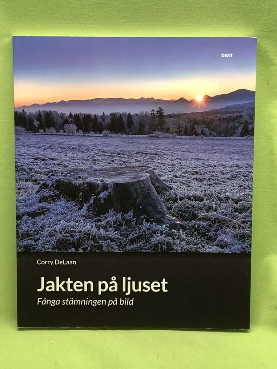 Corry DeLaan : Jakten på ljuset