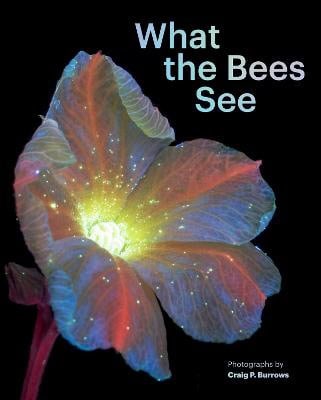 Craig P. Burrows : What the Bees See