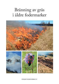 Croneborg, Hjalmar ; Mebus, Fabian : Bränning av gräs i äldre fodermarker