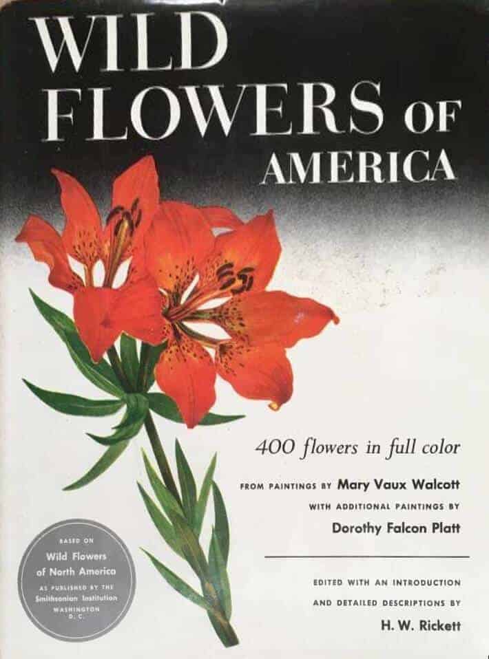 D Falcon Platt : Wild flowers of America