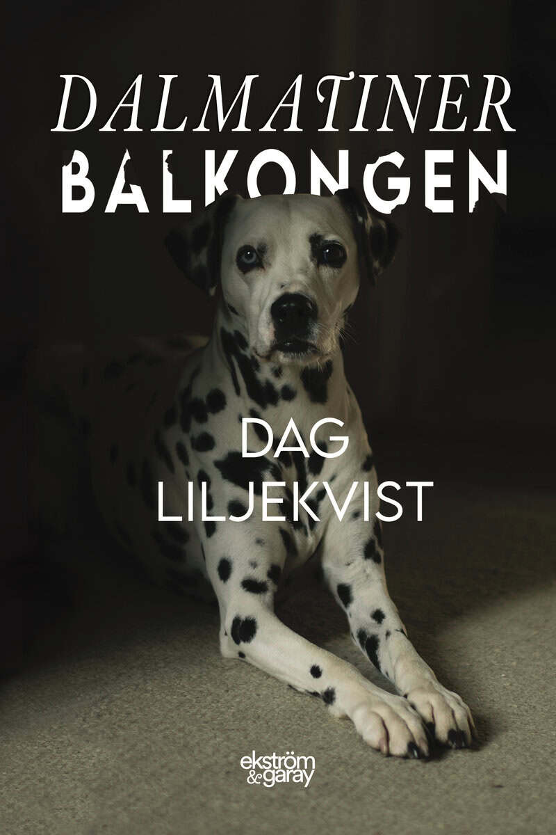 Dag Liljekvist : Dalmatinerbalkongen