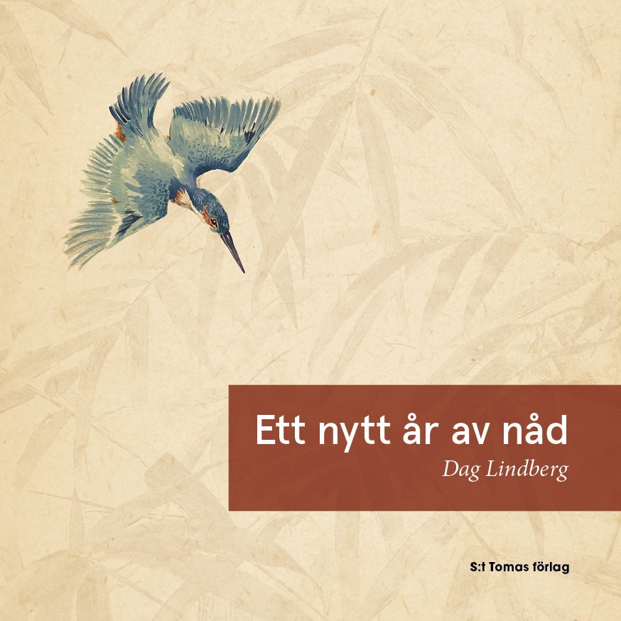 Dag Lindberg : Ett nytt år av nåd