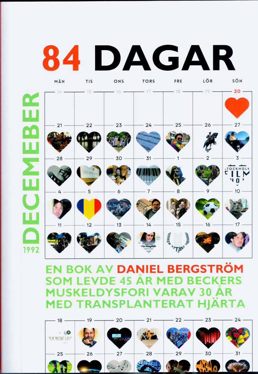 Daniel Bergström : 84 dagar