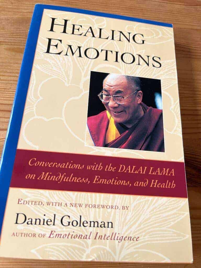 Daniel Goleman : Healing emotions