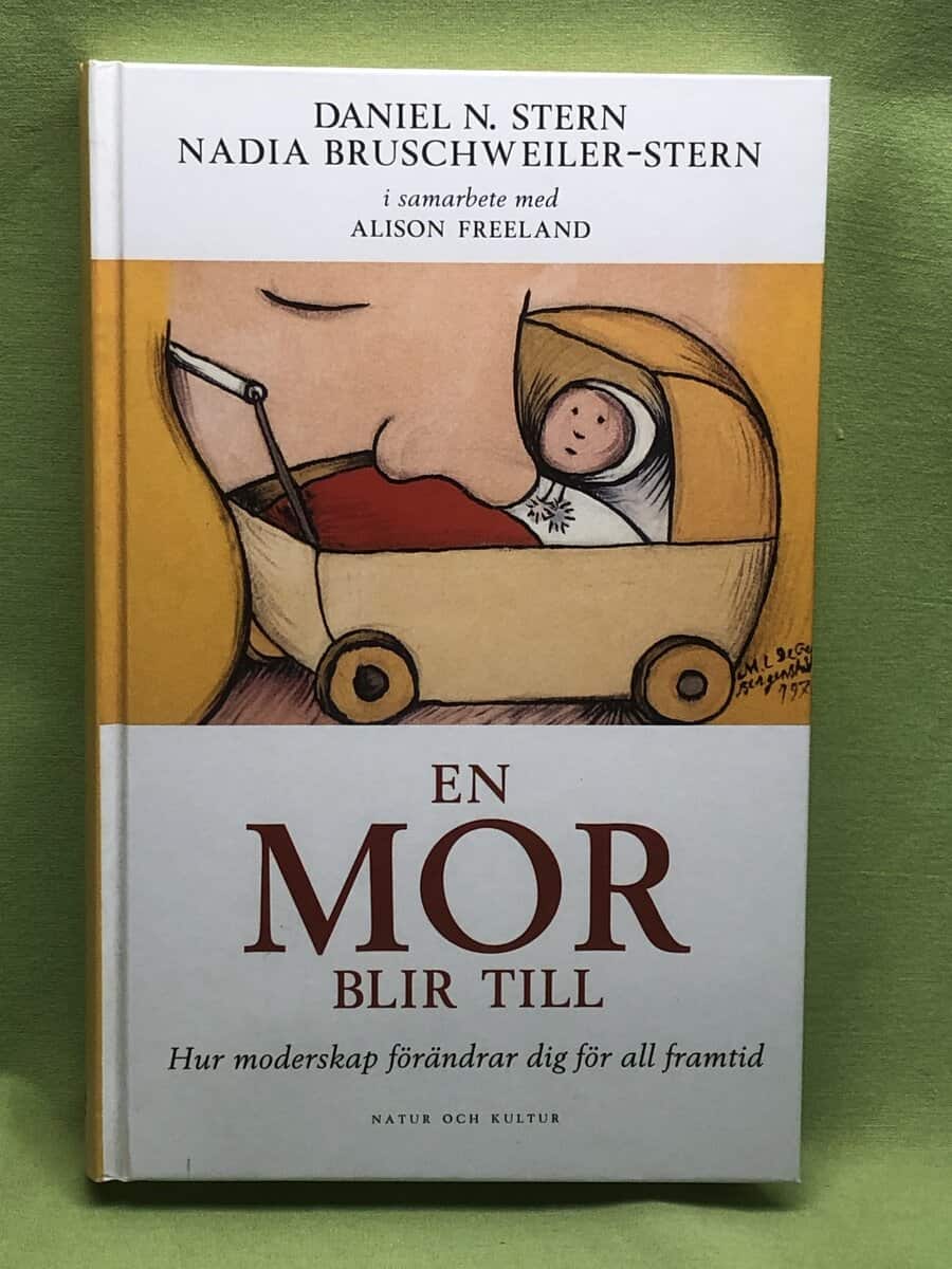 Daniel N. Stern : En mor blir till