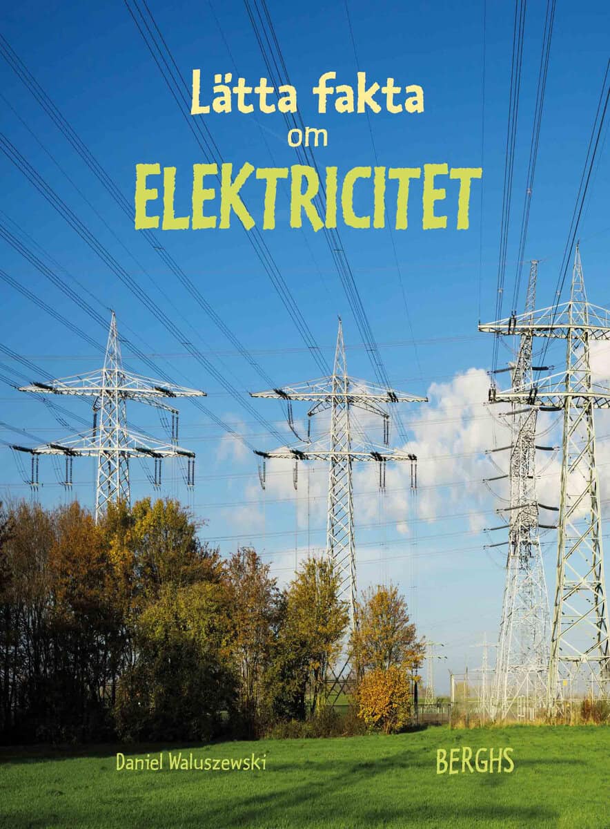 Daniel Waluszewski : Lätta fakta om elektricitet