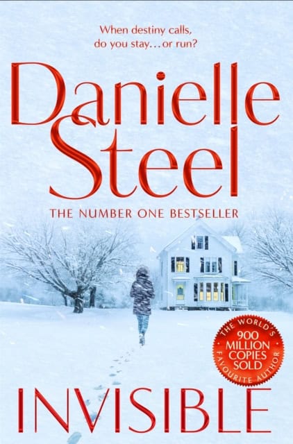 Danielle Steel : Invisible