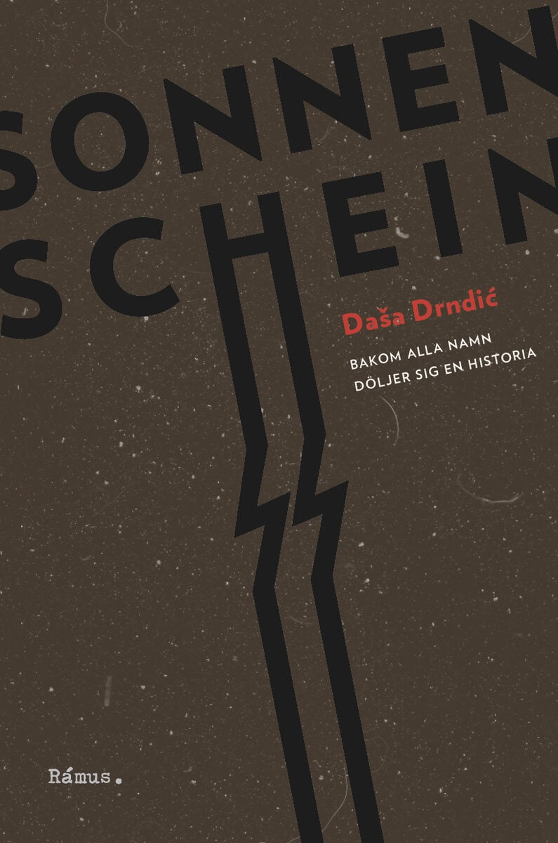 Dasa Drndic : Sonnenschein : bakom alla namn döljer sig en historia