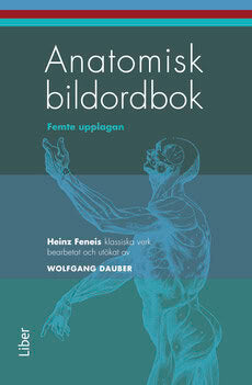 Dauber, Wolfgang ; Feneis, Heinz : Anatomisk bildordbok