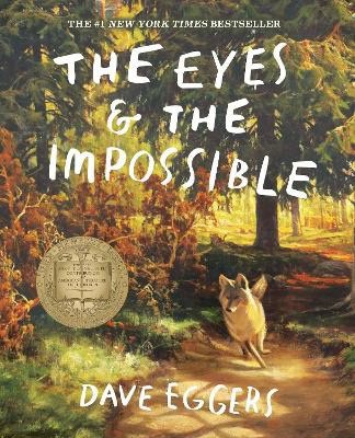 Dave Eggers : The Eyes and the Impossible