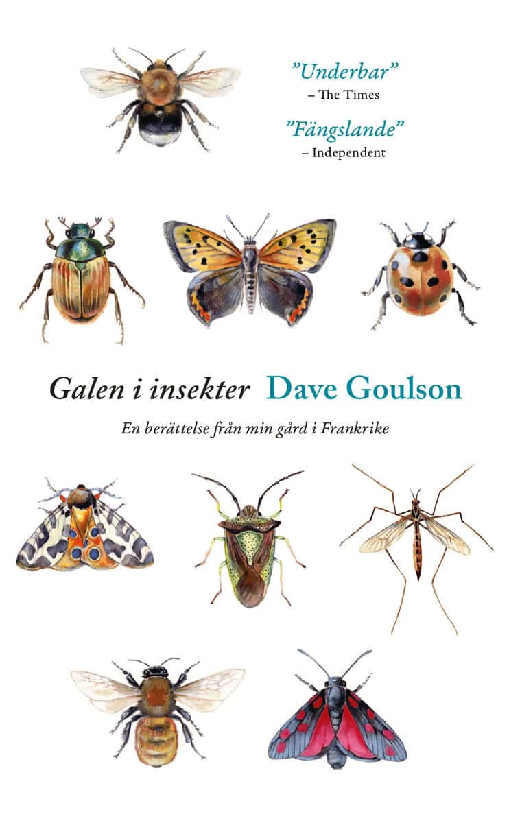 Dave Goulson : Galen i insekter