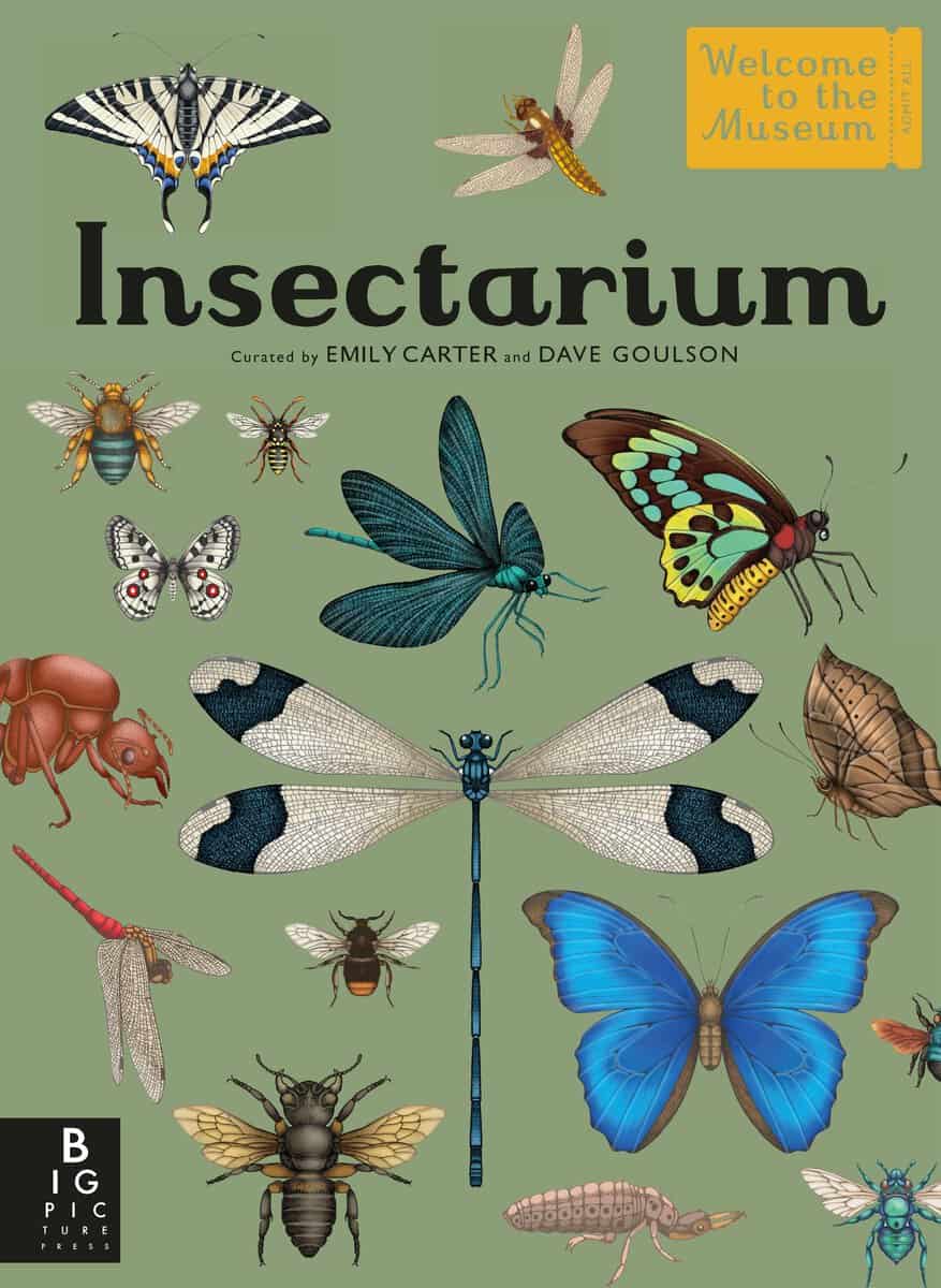 Dave Goulson : Insectarium