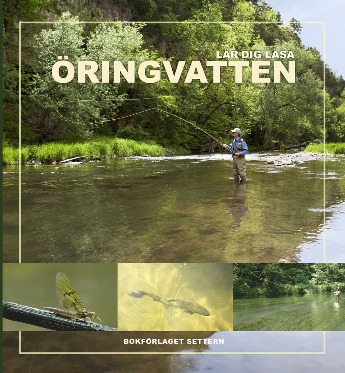 Dave Hughe : Lär dig läsa öringvatten