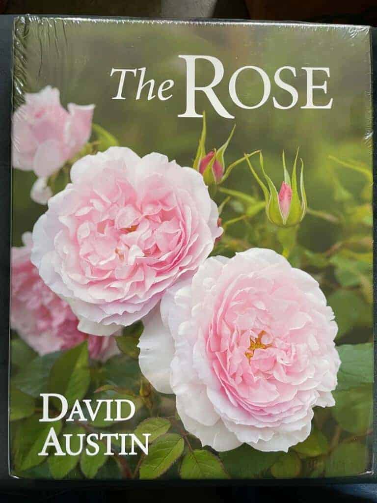 David Austin : The Rose