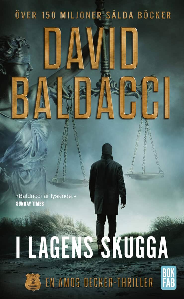 David Baldacci : I lagens skugga