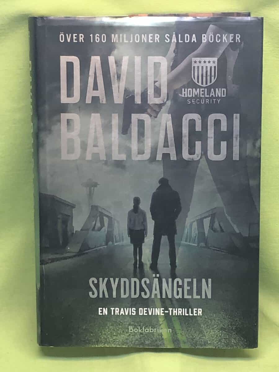 David Baldacci : Skyddsängeln