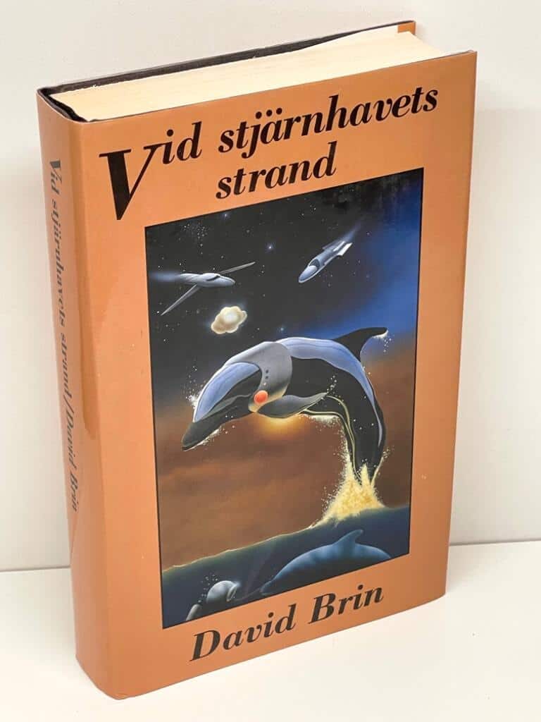 David Brin : Vid stjärnhavets strand