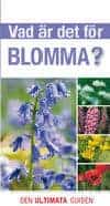 David Brunie : Vad är det för blomma?
