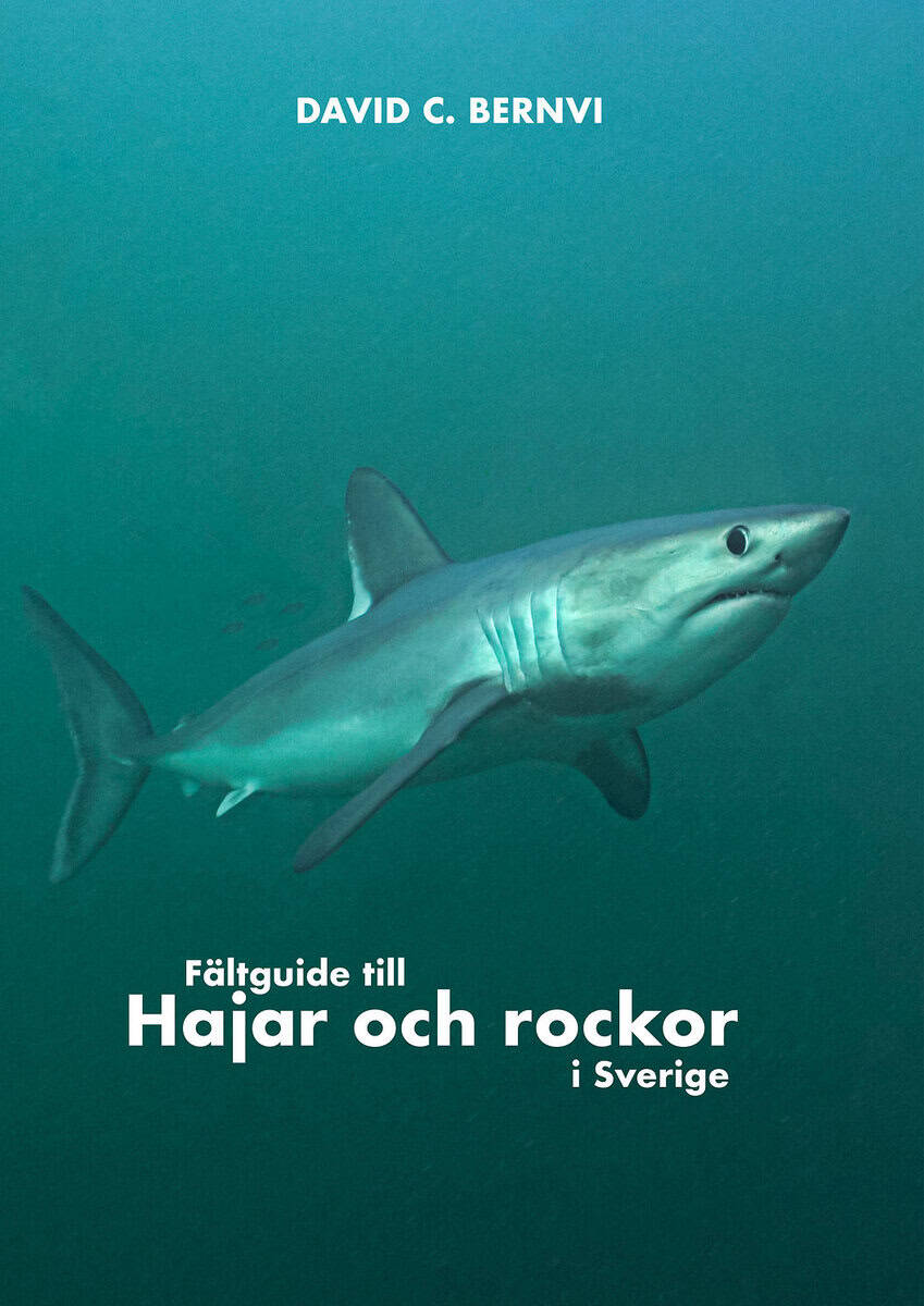 David C. Bernvi : Fältguide till hajar och rockor i Sverige