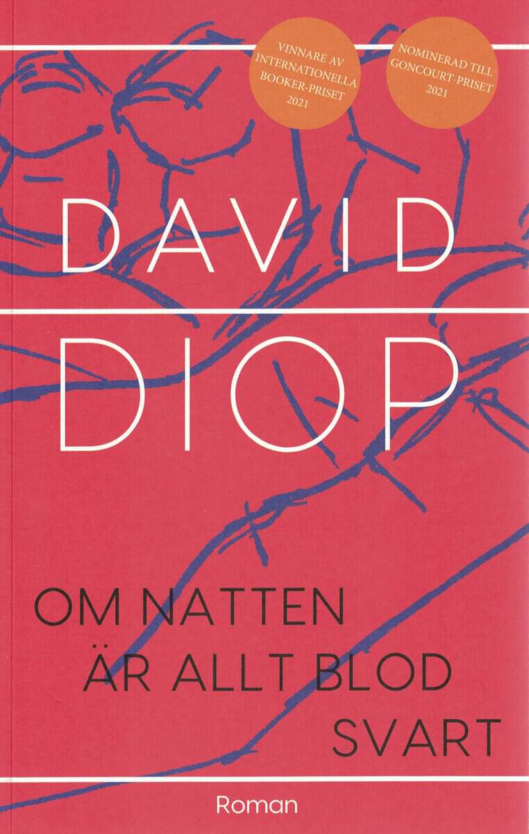David Diop : Om natten är allt blod svart