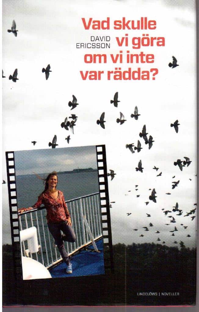 David Ericsson : Vad skulle vi göra om vi inte var rädda? Noveller