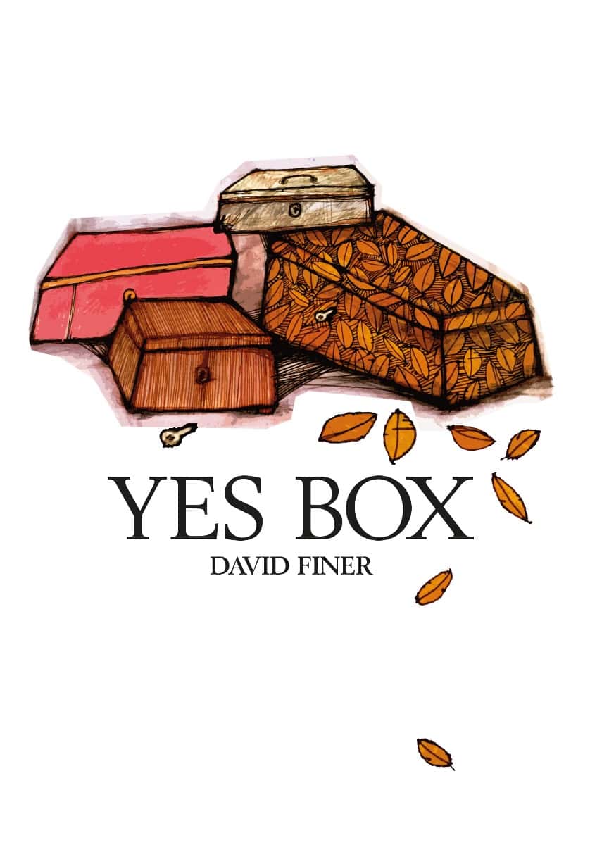 David Finer : Yes box