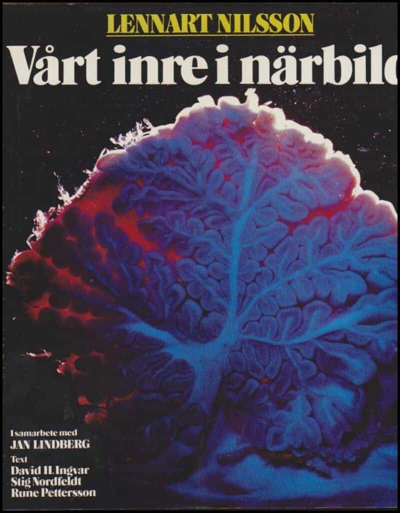 David H. m fl Ingvar : Vårt inre i närbild