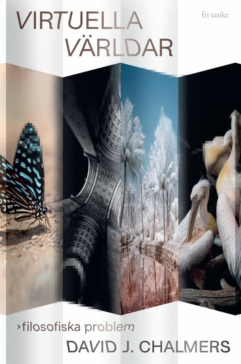 David J. Chalmers : Virtuella världar : filosofiska problem